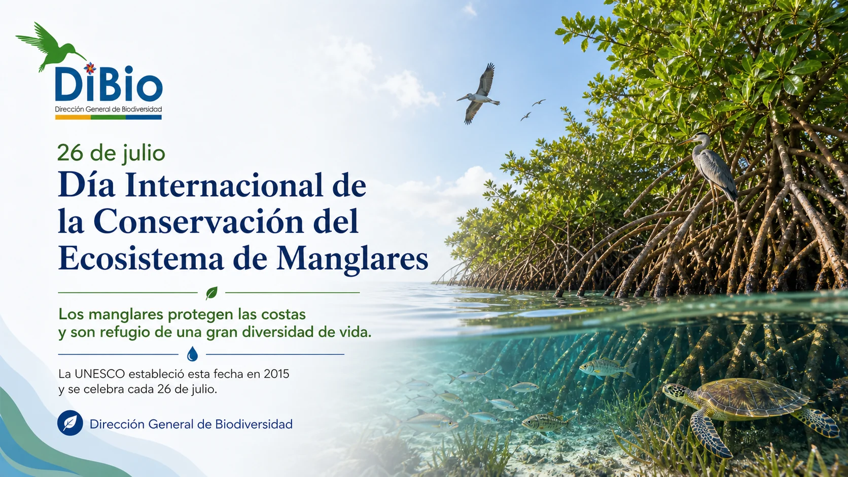 Día Internacional de la Conservación del Ecosistema de Manglares